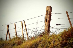 Ο φαύλος κύκλος της παθητικής επιθετικότητας